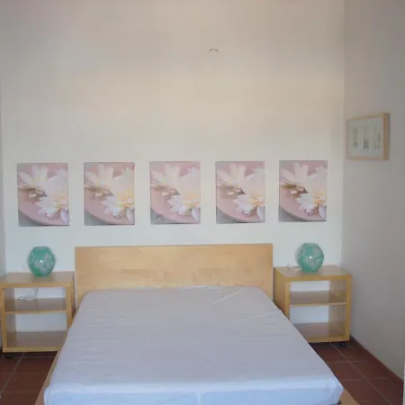 Camelia Flat Door N7 *