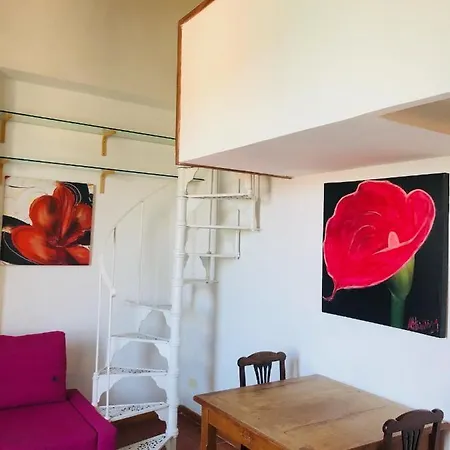 Camelia Flat Door N7 Rome