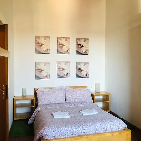 Camelia Flat Door N7 Rome